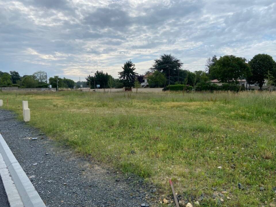 Terrain à CASTELNAU-DE-MEDOC