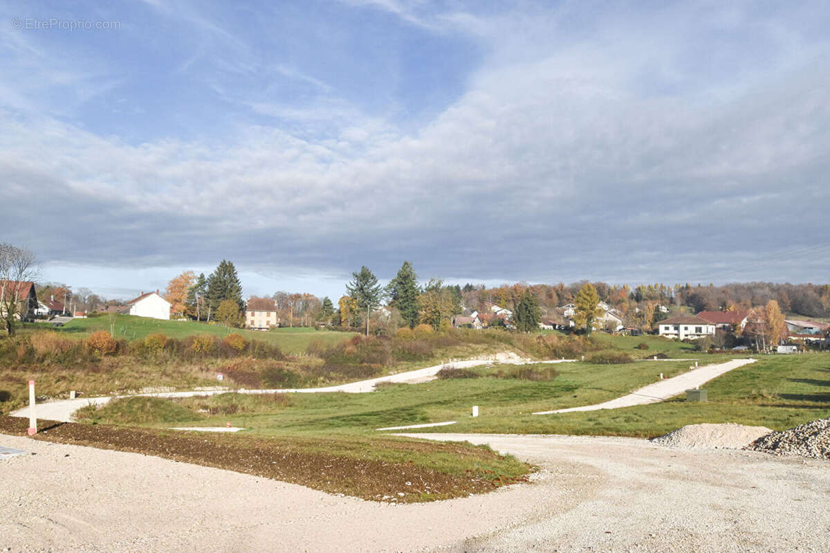 Terrain à L&#039;HOPITAL-DU-GROSBOIS