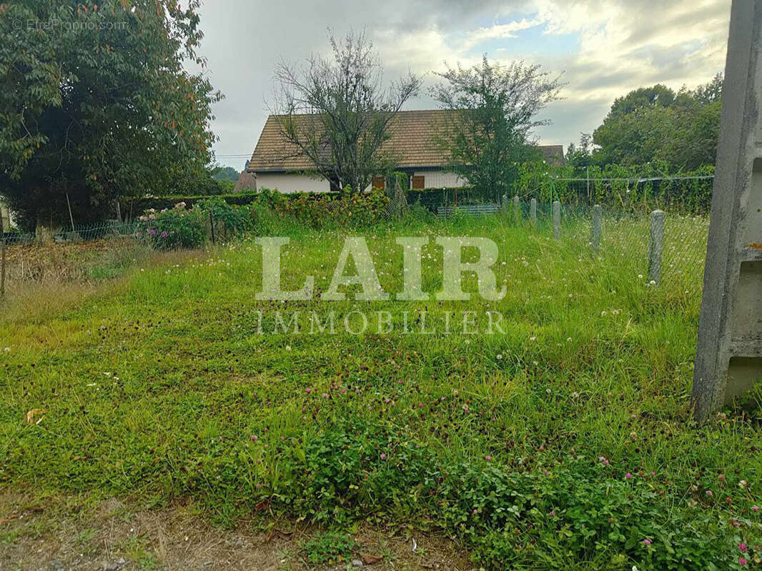 Terrain à LA FERTE-MACE