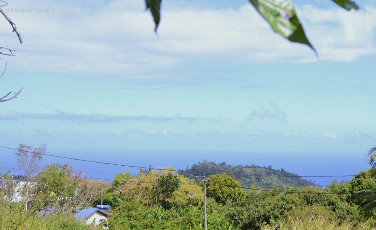 Terrain à SAINT-JOSEPH