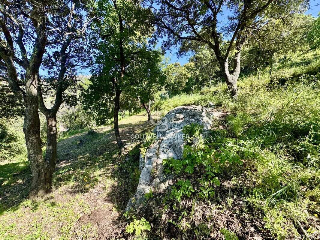 Terrain à MONTICELLO