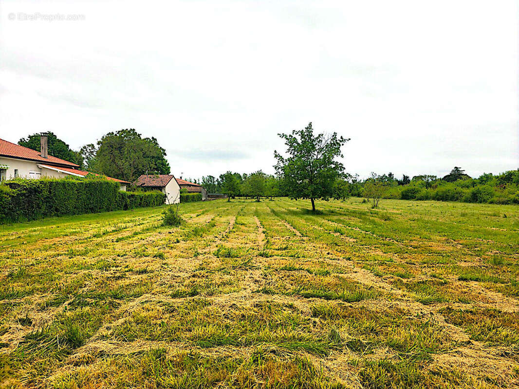 Terrain à MONTAUBAN