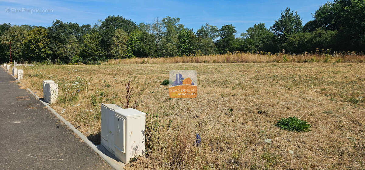Port st pere - bourg - maison neuve 3 ch + jardin - photo 4