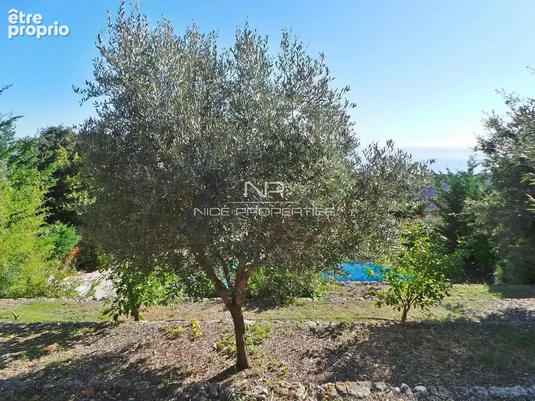 Villa Provençale avec vue mer panoramique à 15 minutes du centre de Cannes. - photo 28