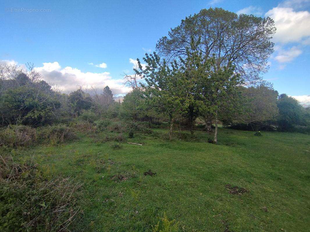 Terrain  3000 m2 - Quenza (Alta Rocca, Corse-du-Sud) - photo 3