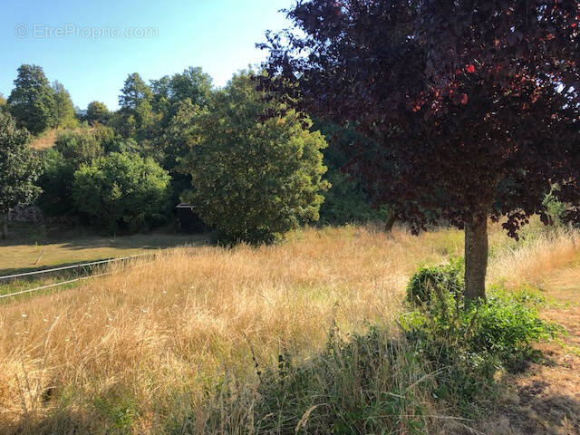 Terrain à JAULNY