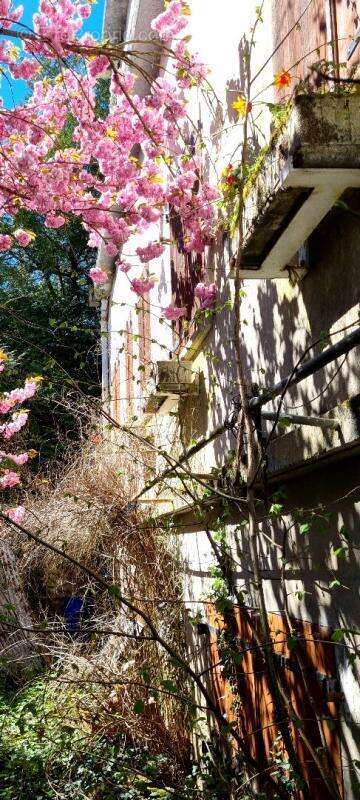 Maison à MANTES-LA-JOLIE