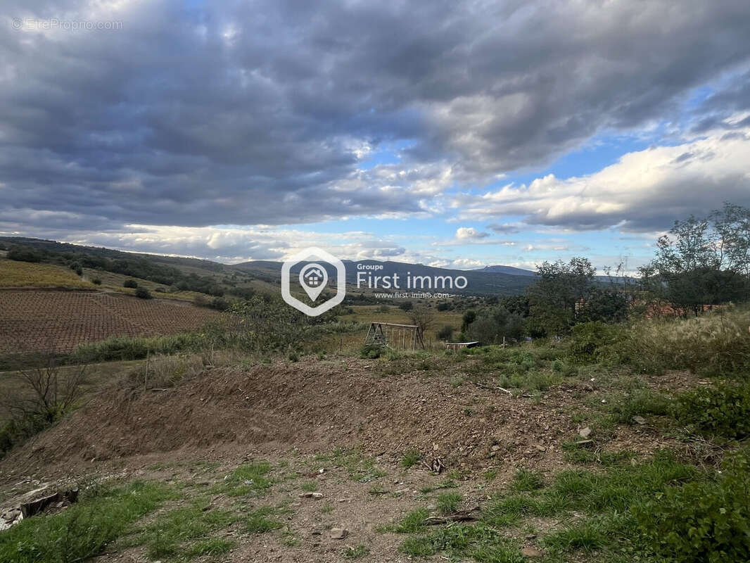 Terrain à MONTNER