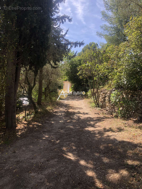 Ollioules sur les hauteurs - photo 8