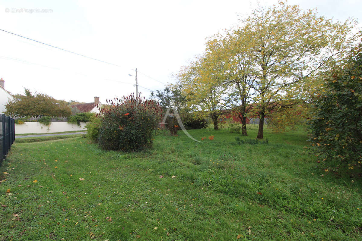 Terrain à MONT-PRES-CHAMBORD