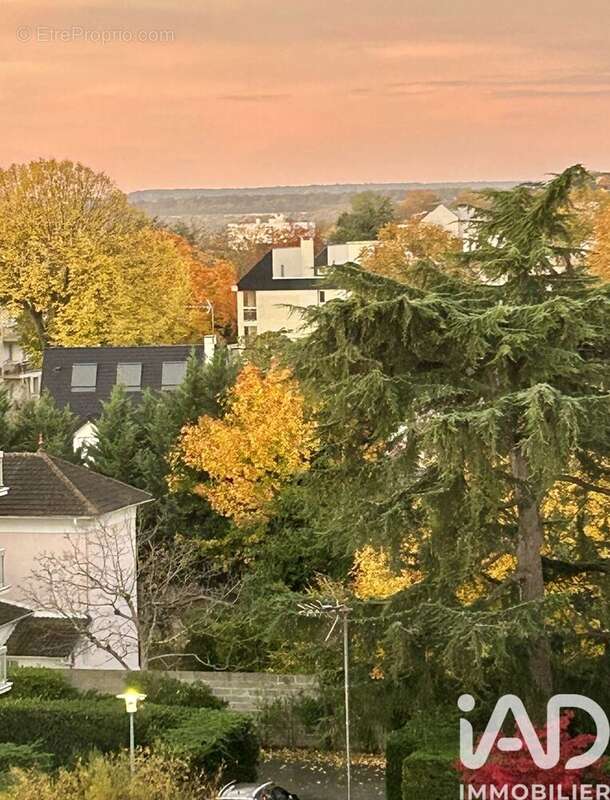Photo 9 - Appartement à MAISONS-LAFFITTE
