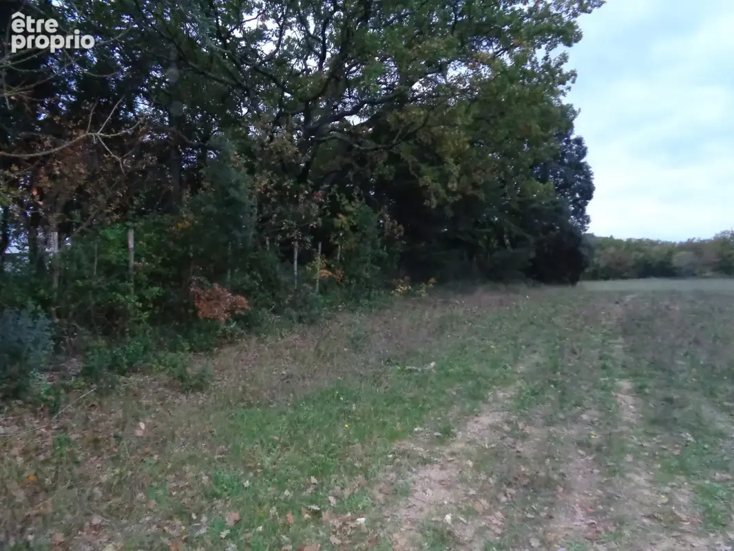 Gard Villevieille Terrain Agricole - photo 4