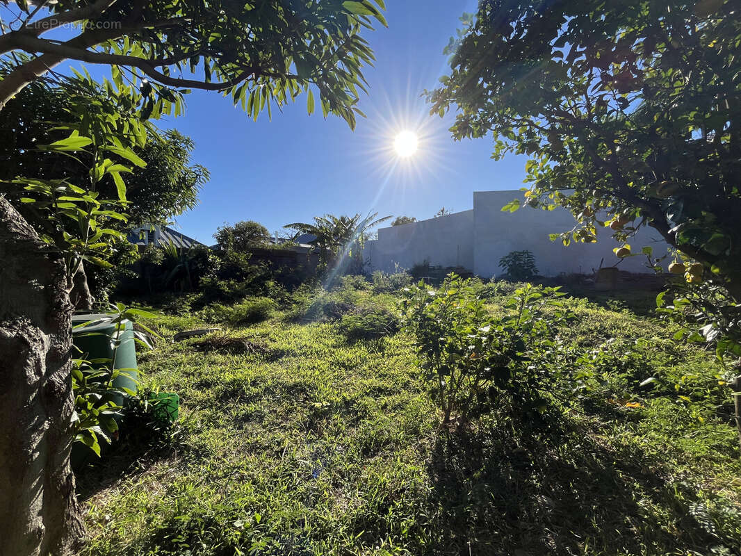 Terrain à SAINT-DENIS