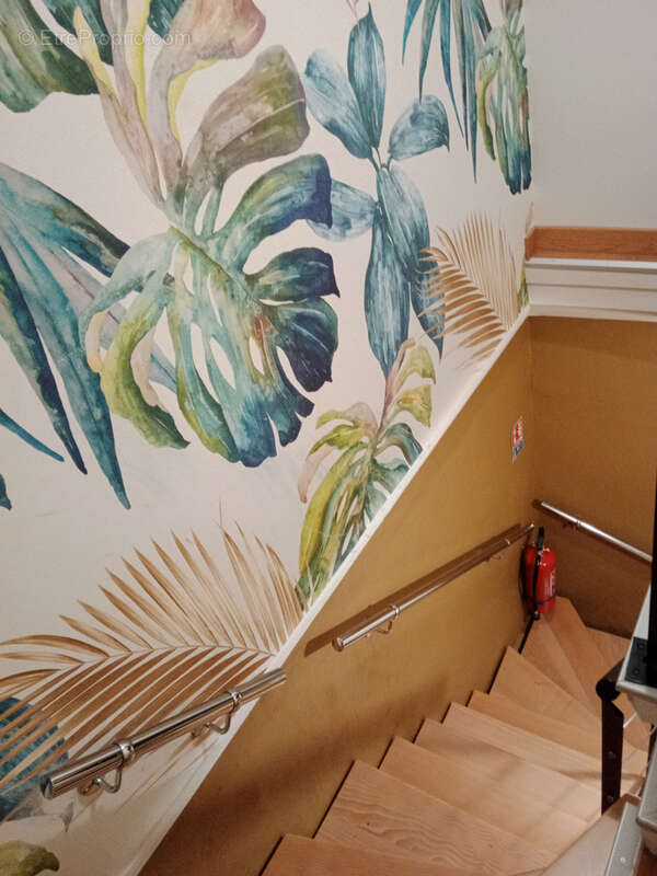 Appartement à LUXEUIL-LES-BAINS