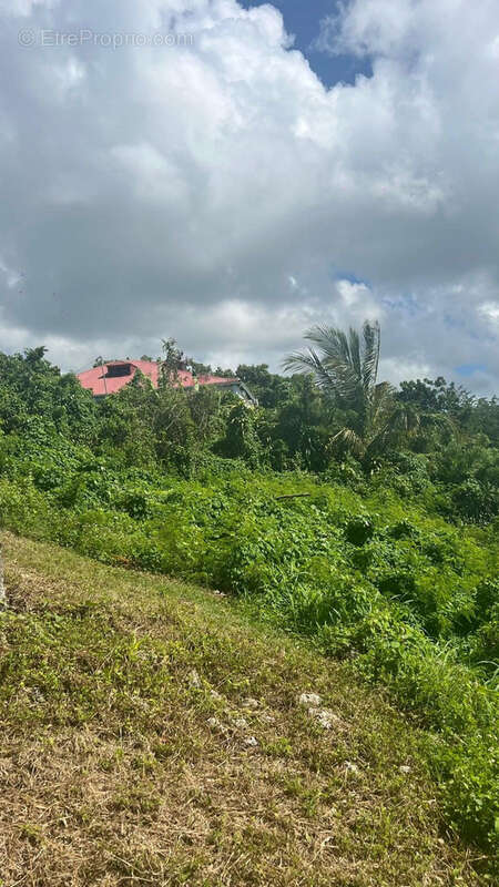 Terrain à LE GOSIER
