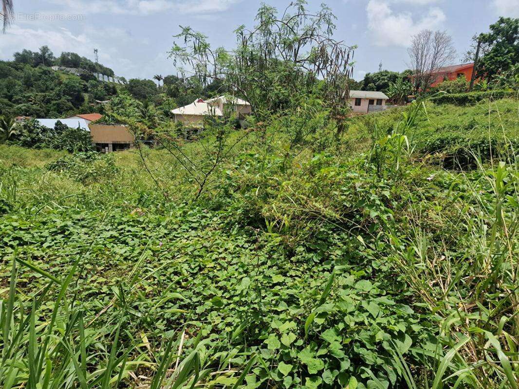 Terrain constructible - photo 6