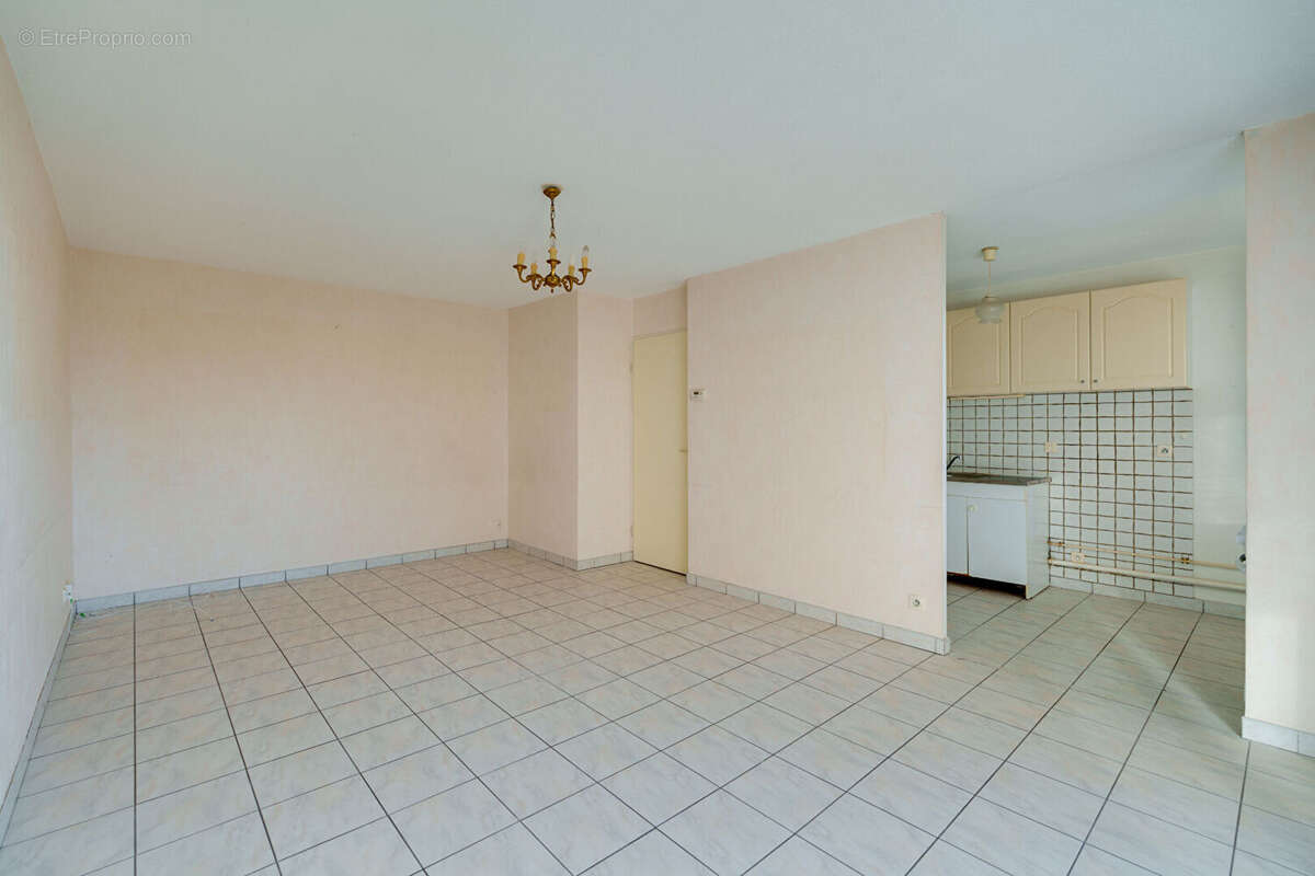 Appartement Evian Les Bains 2 pièces 48.5 m² avec une terrasse de 40 m² - photo 3