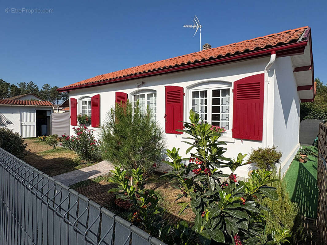 Maison Rion Des Landes 3 pièce(s) 62 m2 - photo 2