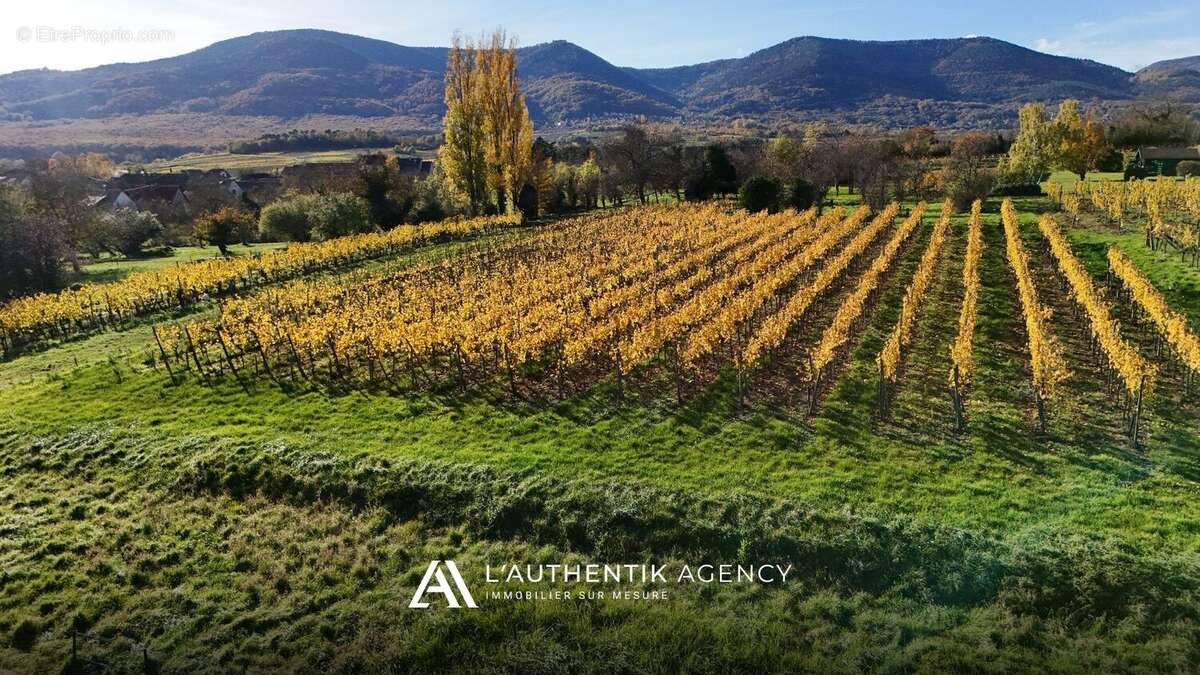 Terrain à BERNARDSWILLER