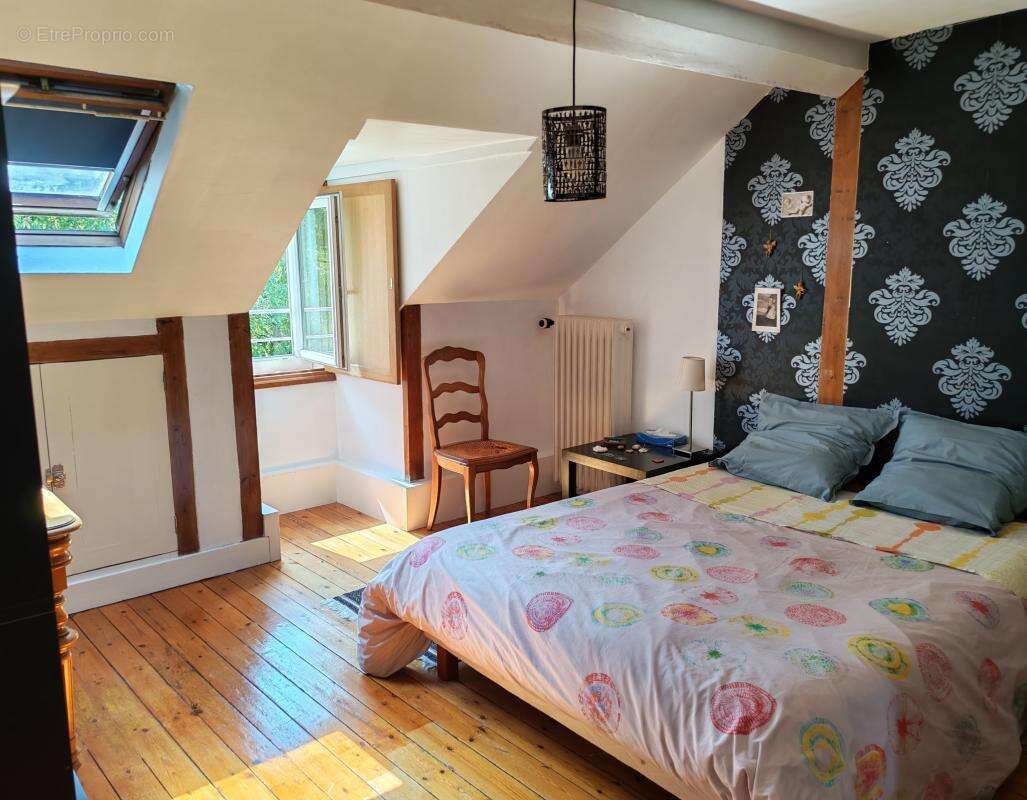 Maison bourgeoise Blois centre - Vue Loire - photo 14