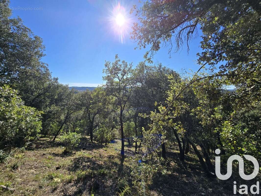 Photo 8 - Maison à TRESQUES