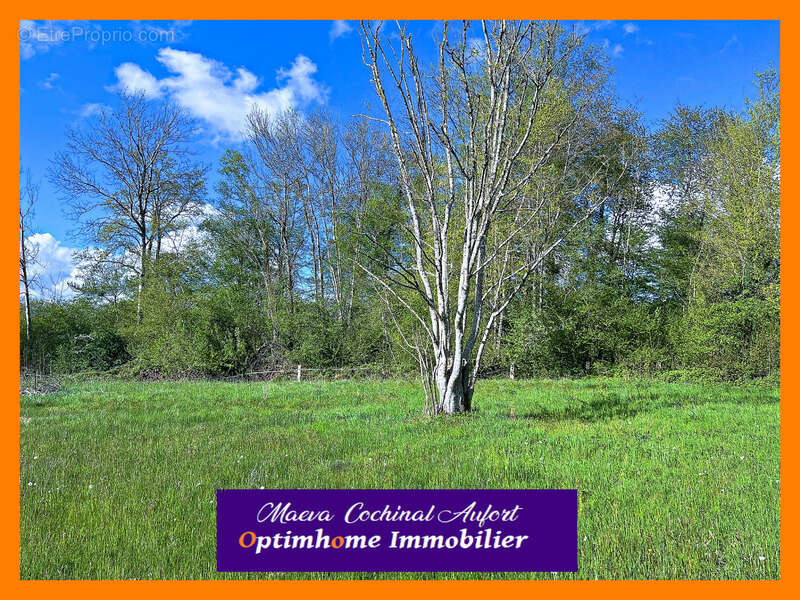 Maison à LE MELE-SUR-SARTHE