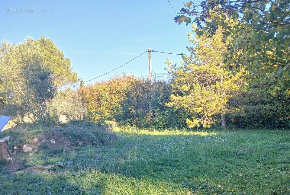 Terrain à SAINT-CHAMAS