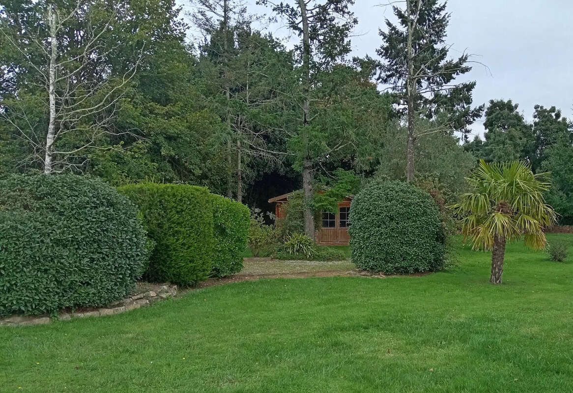 Terrain à MESANGER