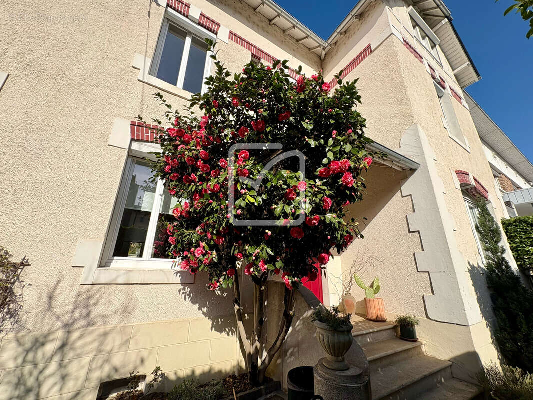 Maison à TULLE