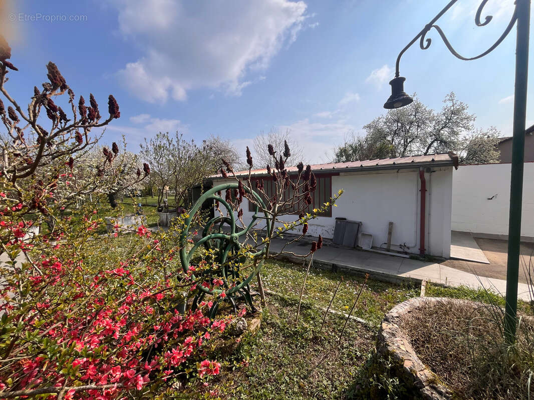 Maison à YZEURE