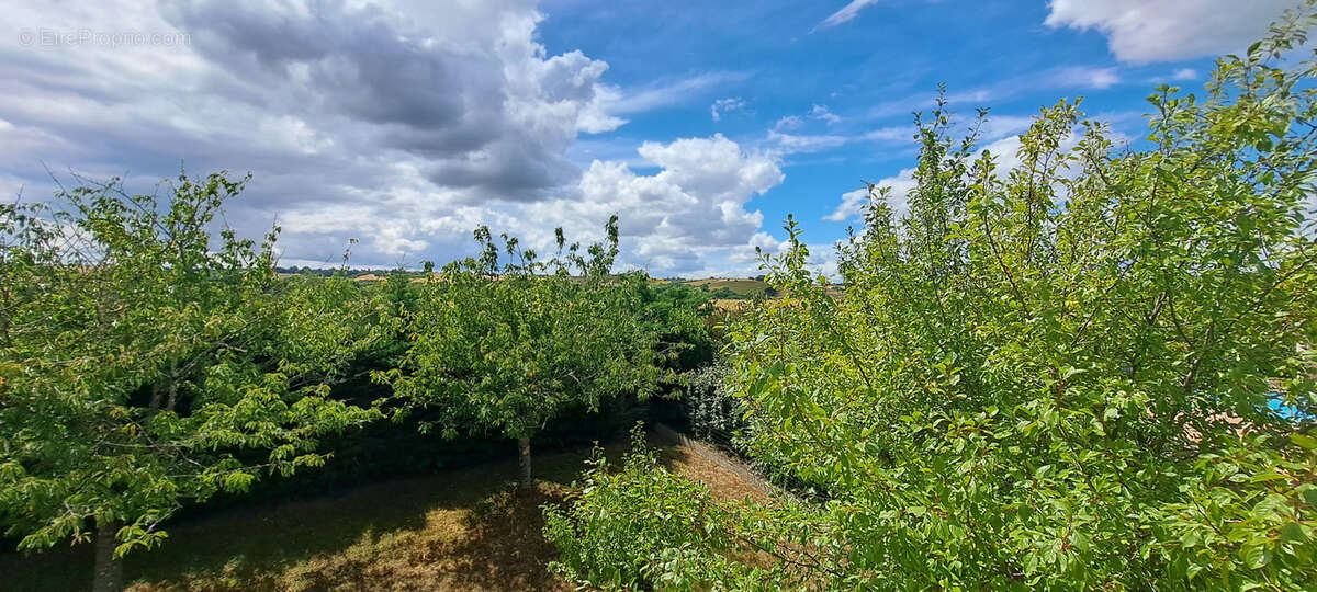 Maison à MONTGISCARD