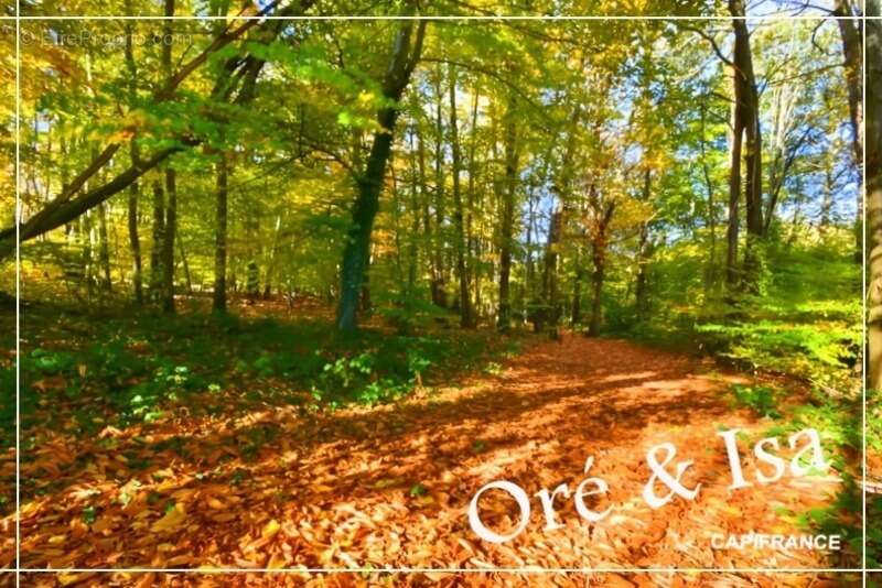 Terrain à SAINT-DESIRE