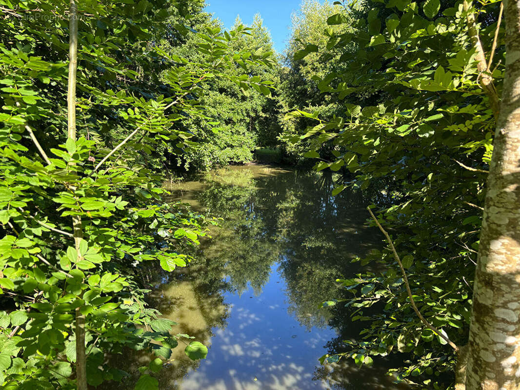Fermette sur un terrain de 5 300 m² - photo 11