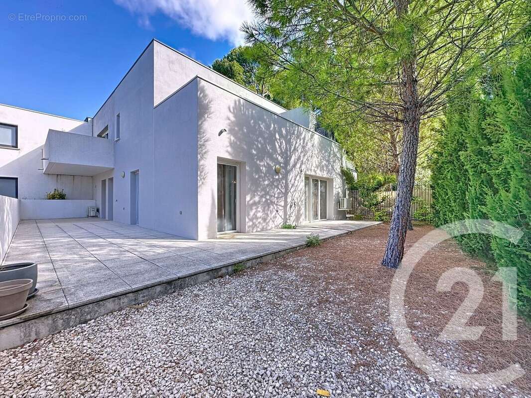 Photo 4 - Appartement à MONTPELLIER