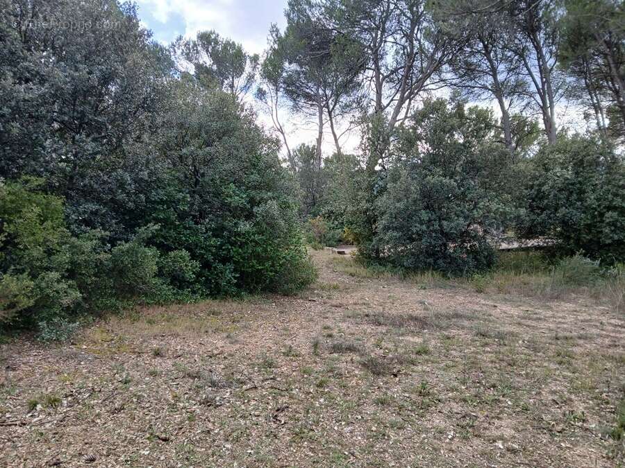 Terrain à VENTABREN