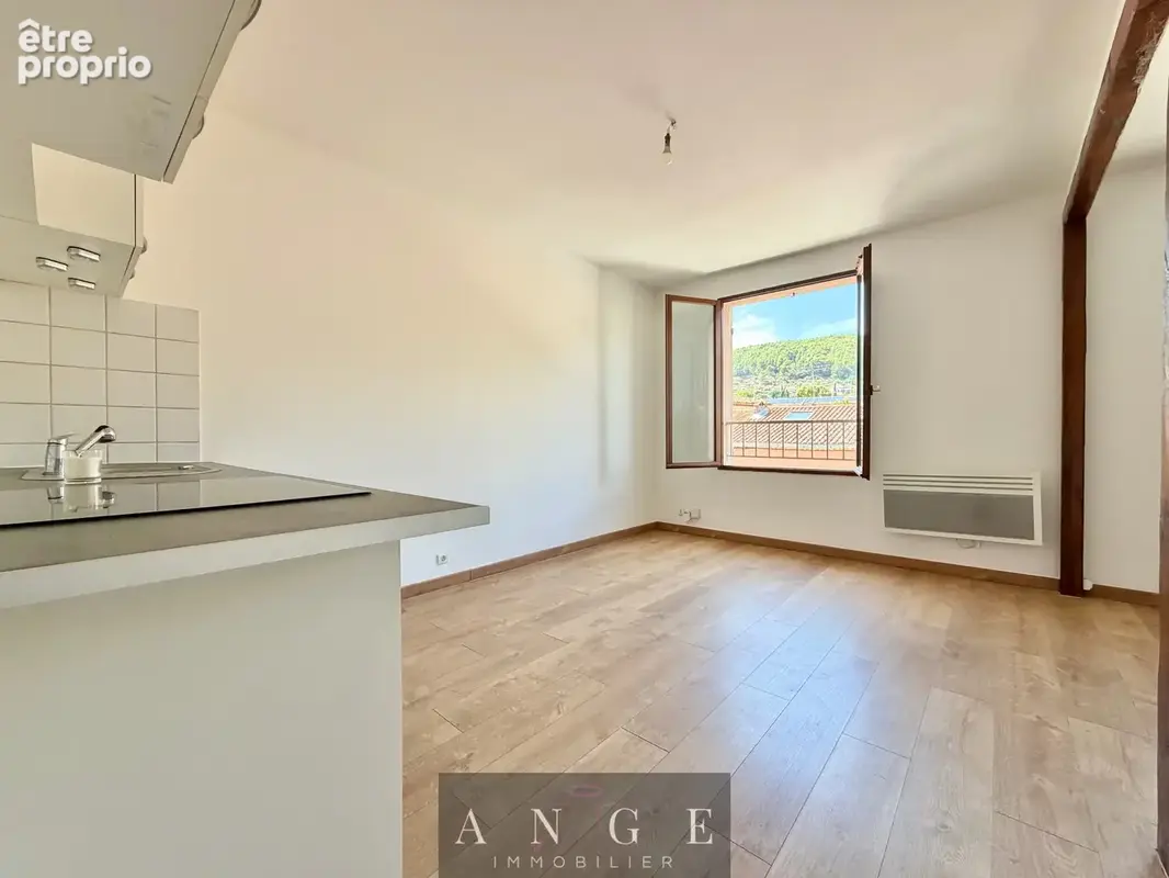 Appartement t2 - 34m2 - dernier etage -centre ville - la farlede - photo 3
