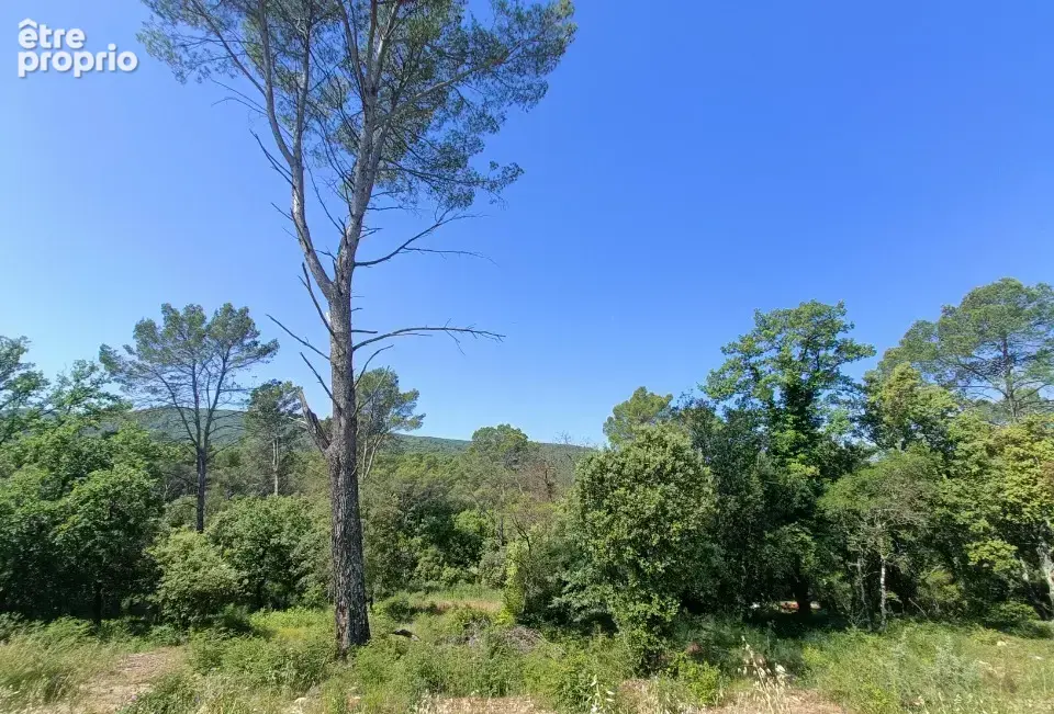 Terrain à LE THORONET