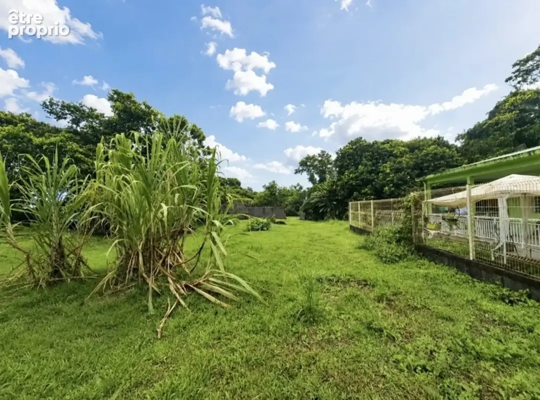 A vendre - Terrain plat de 729 m² – Ajoupa-Bouillon – Secteur Adinet - photo 5