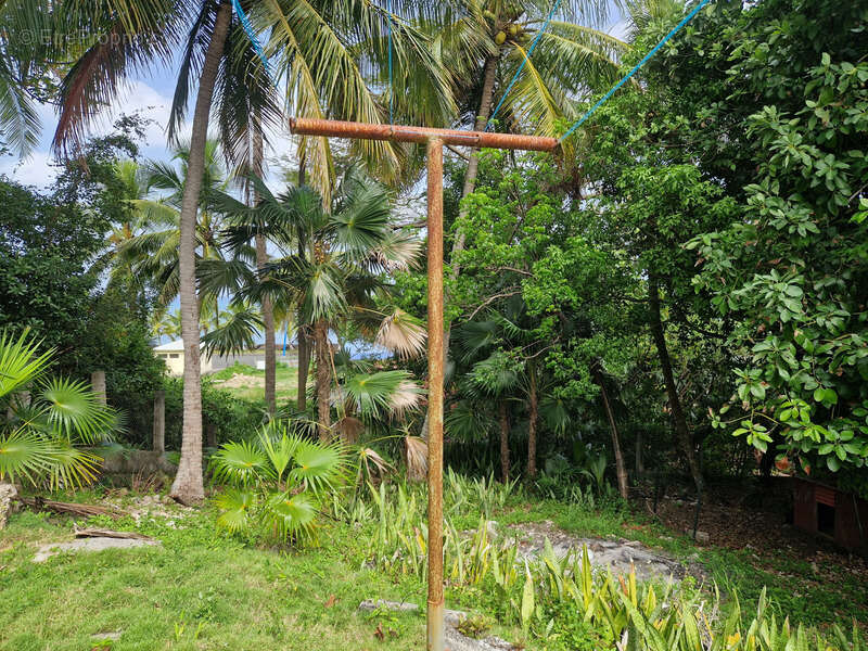 Maison à ANSE-BERTRAND