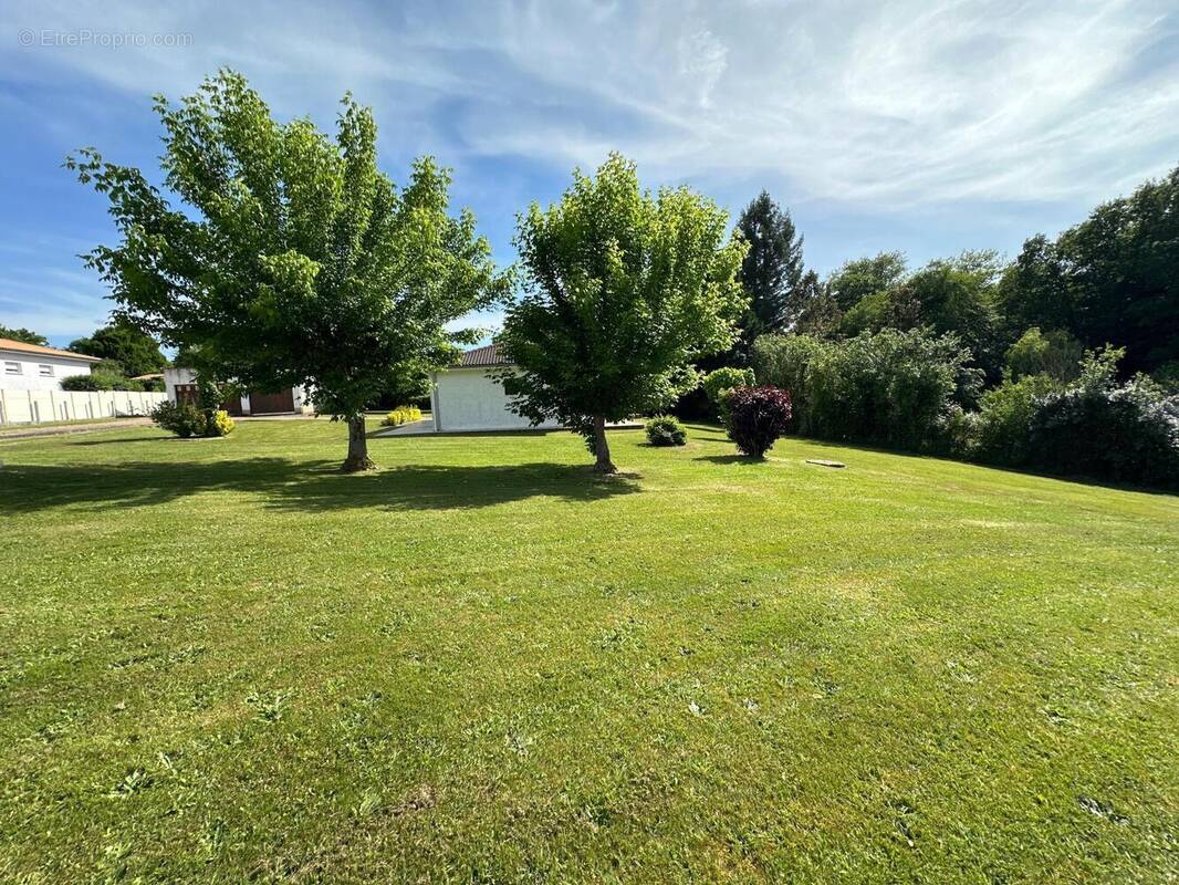 Photo 1 - Terrain à FARGUES-SAINT-HILAIRE