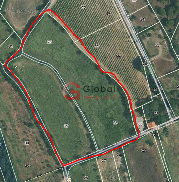 Grand terrain de 19270m2 avec Jade RUIZ - photo 3