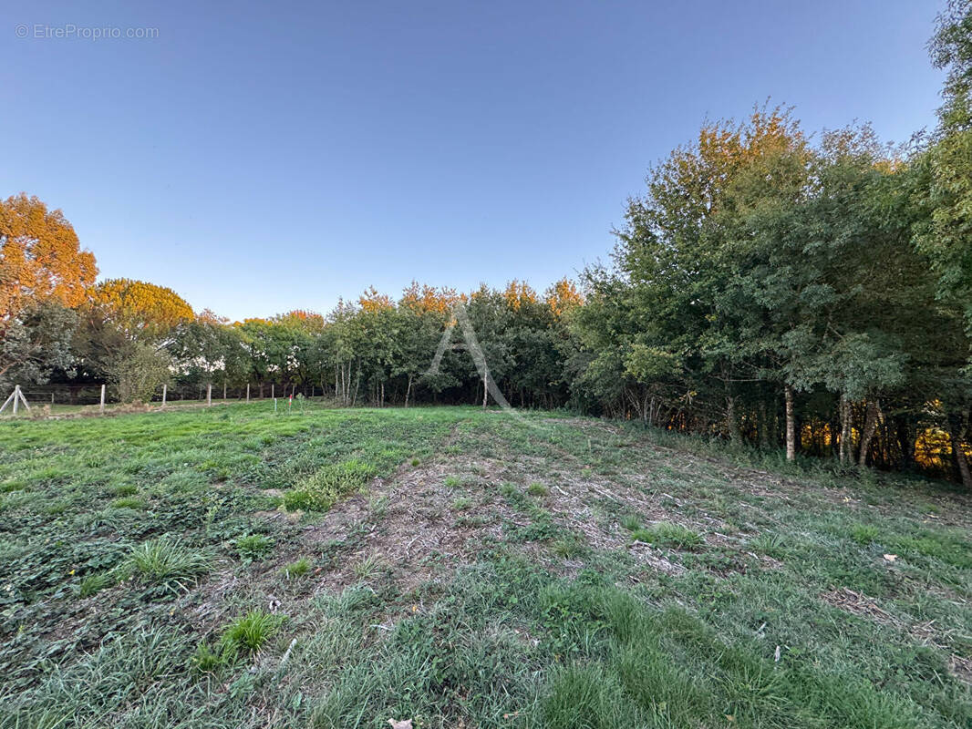 Terrain à MONTANS
