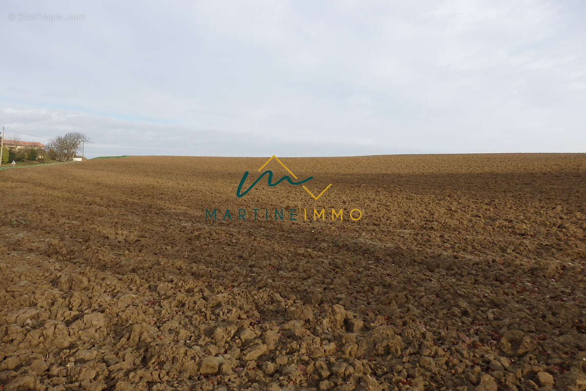 Terrain à MAUVEZIN-SUR-GUPIE