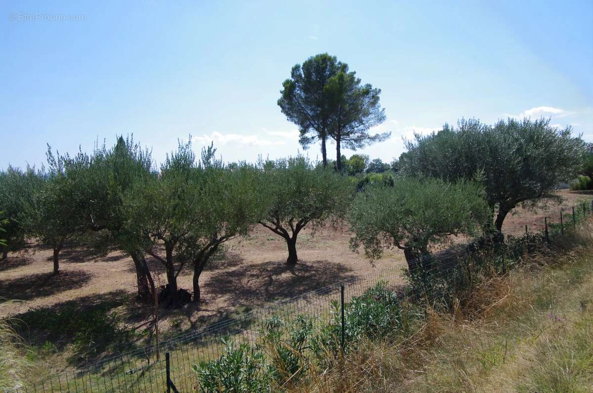 Terrain à LORGUES