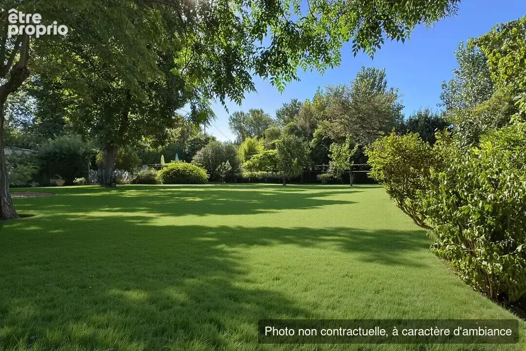 Mas en campagne d'Arles avec habitation familiale, deux gîtes, piscine, dépendances et grand jardin arboré - photo 4