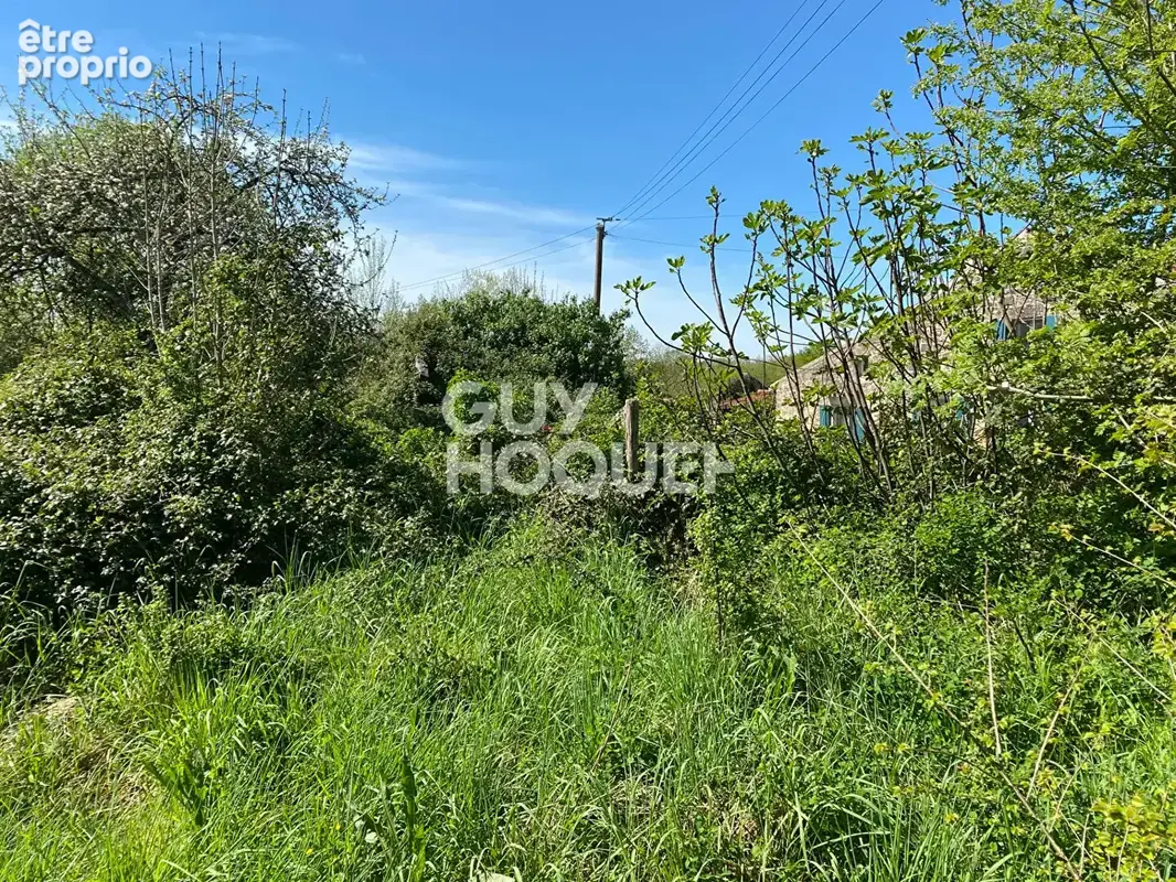 Terrain 1 661 m² à vendre à Foussais-Payre (85240) - photo 3