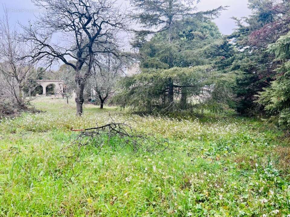 Terrain à SAINT-RAPHAEL