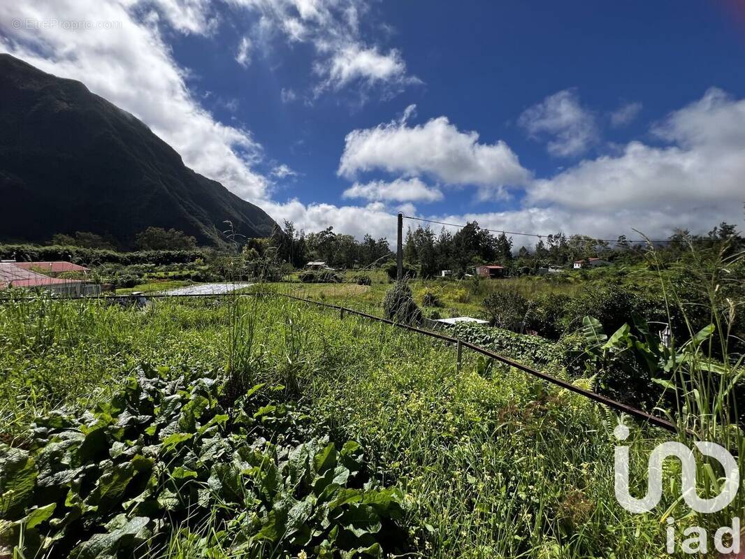 Photo 1 - Maison à LA PLAINE-DES-PALMISTES
