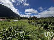 Photo 1 - Maison à LA PLAINE-DES-PALMISTES