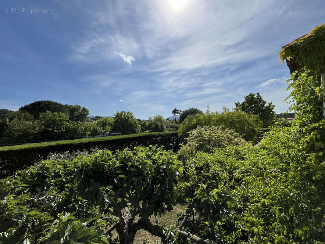 Autre à PUGET-SUR-ARGENS